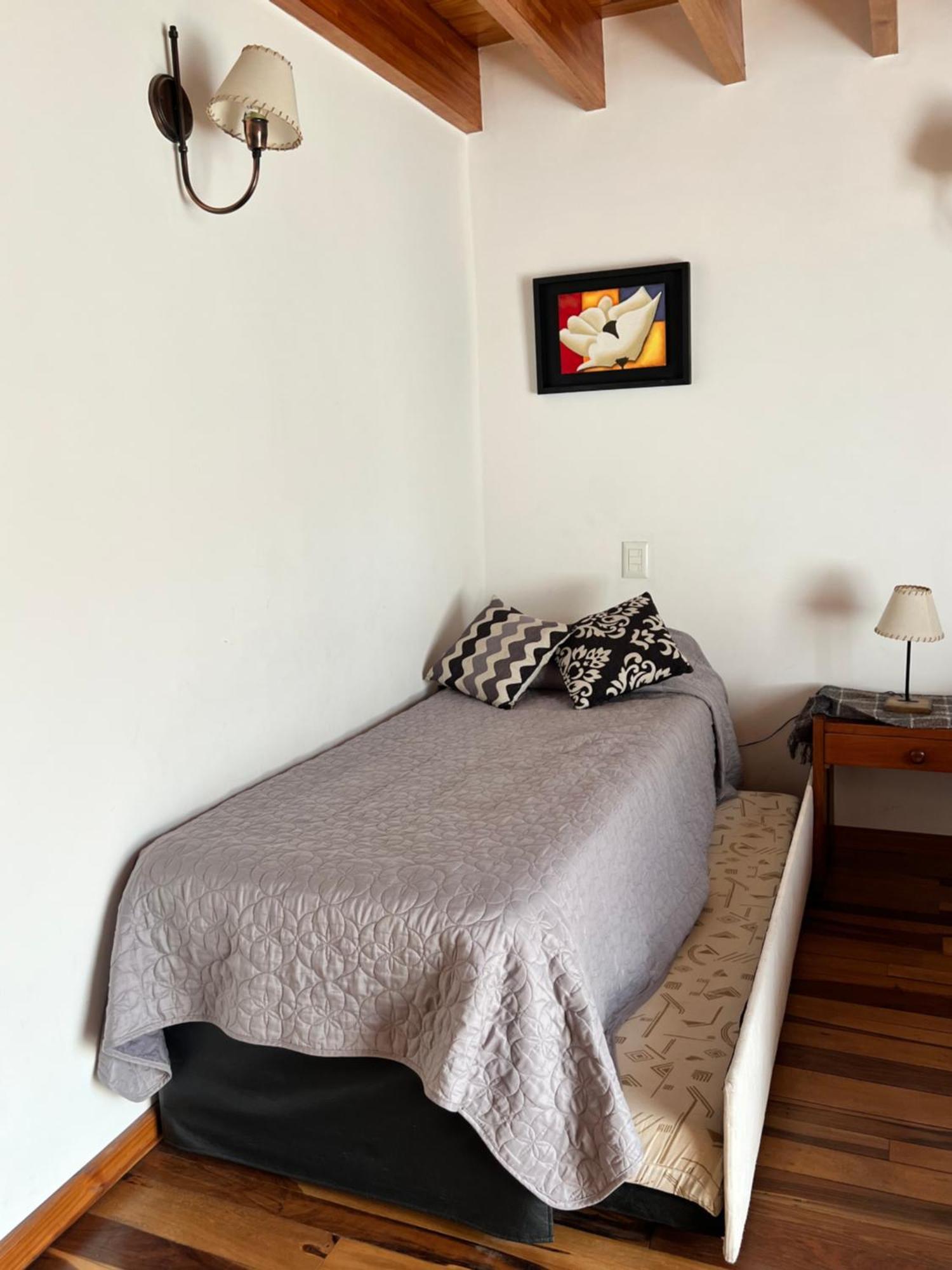 Noreen Departamentos San Martín de los Andes Eksteriør billede
